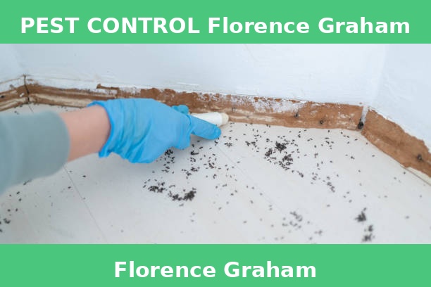 PEST CONTROL Florence Graham